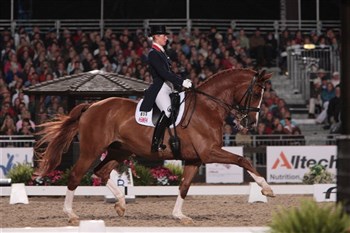 Mistral Højris (Michellino - Ibsen), Olympic Gold medallist with Laura Bechtolsheimer.